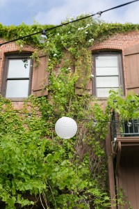 Beautiful vines along the brick walls and circular hanging light decorations in Francisco Gardens